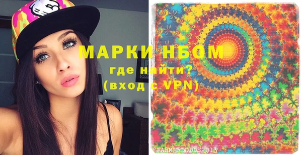 гашик Вяземский