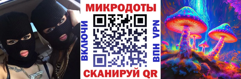 Галлюциногенные грибы прущие грибы закладки Евпатория